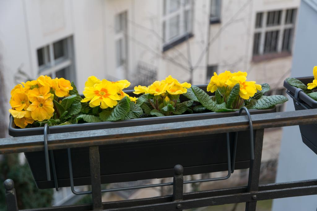 Appartement Luxury Maiselova Prague